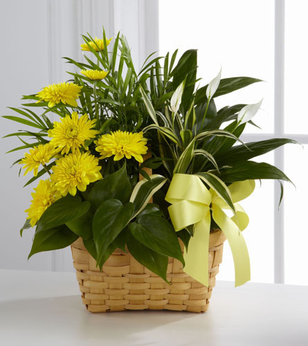 The Flower Shop - Funeral Flowers - Teleflora's Blooming Garden Basket  T213-3Ax