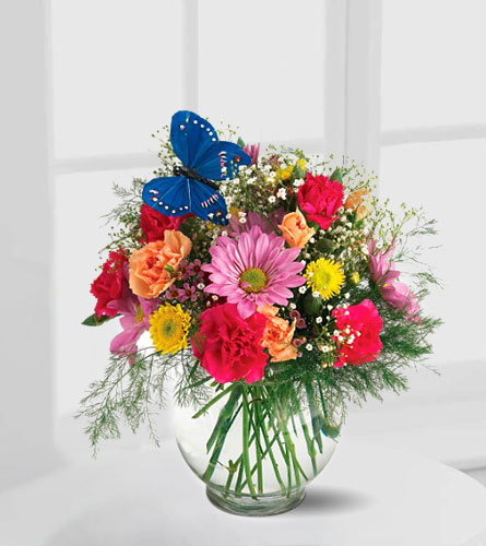 Teleflora's Butterfly and Blossoms Vase