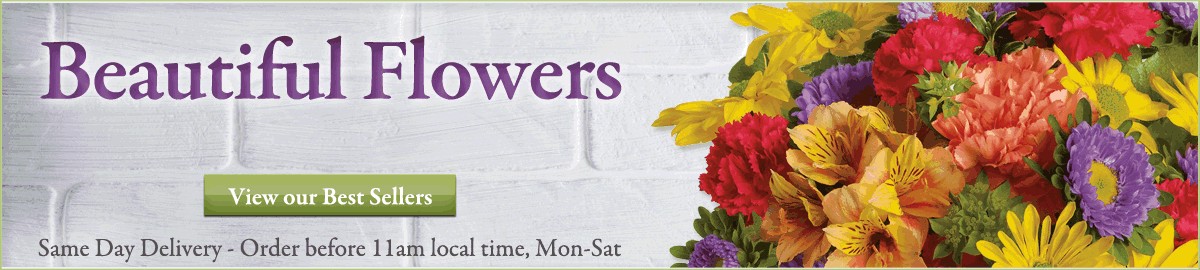 View our Best Selling flowers available for same day delivery